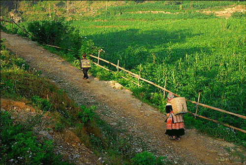 Ban Pho Village - Bac Ha Travel Guide