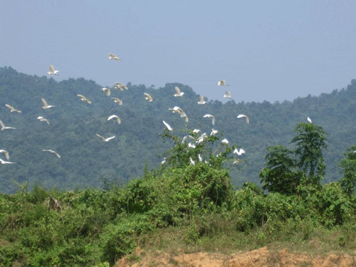 Ben En National Park - Thanh Hoa Travel Guide
