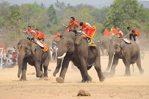 Elephant Racing Festival - festival in Central Highlands