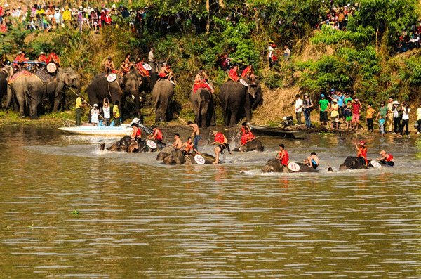 Elephants swimming across Serepok River - festival in Central Highlands