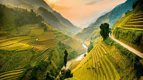 Mu Cang Chai rice terraces - Yen Bai Travel Guide