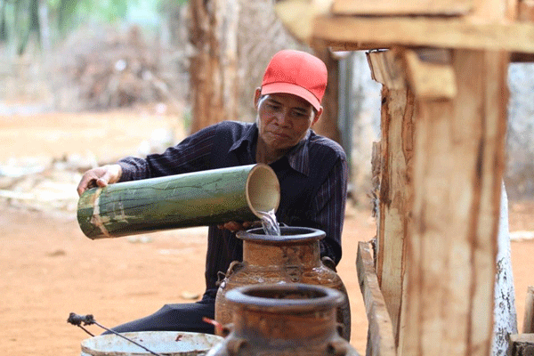 Prepare can wine for the festival - festival in Central Highlands