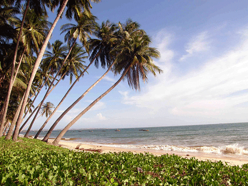 Rang Beach - Mui Ne Travel Guide