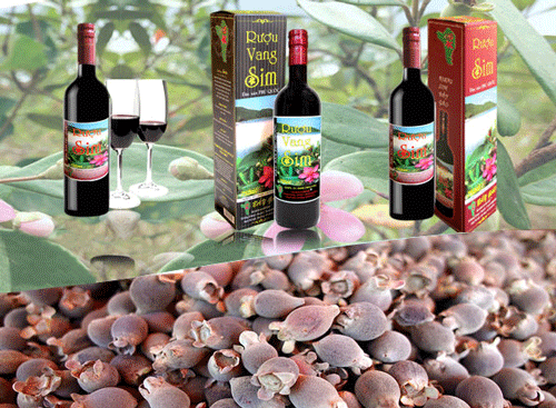 Ruou sim - Phu Quoc Travel Guide