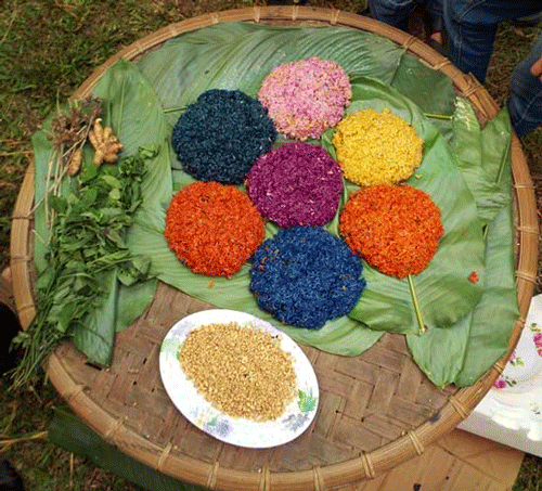 Sapa Travel Guide: Seven-color Sticky Rice