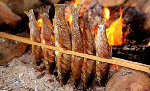 Sinh fish - Yen Bai Travel Guide