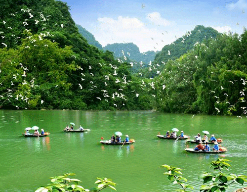 Thung Nham Bird Park - Ninh Binh travel guide