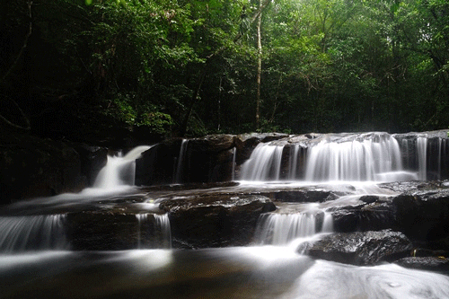 Tranh Stream in the natural park - Phu Quoc Travel Guide
