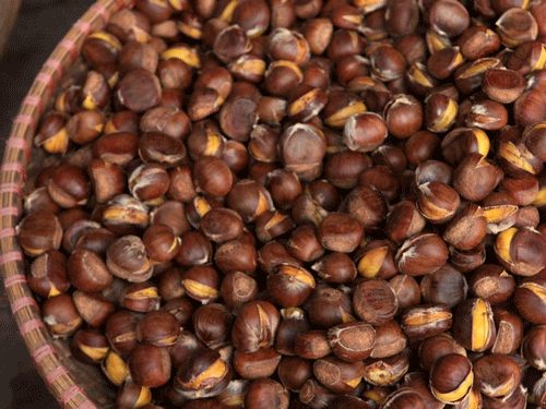 Trung Khanh chestnut - Cao Bang Travel Guide