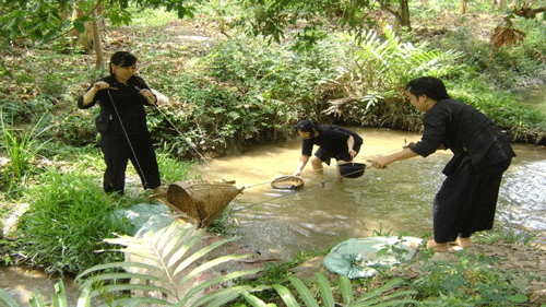 Vinh Sang Farm - Vinh Long Travel Guide