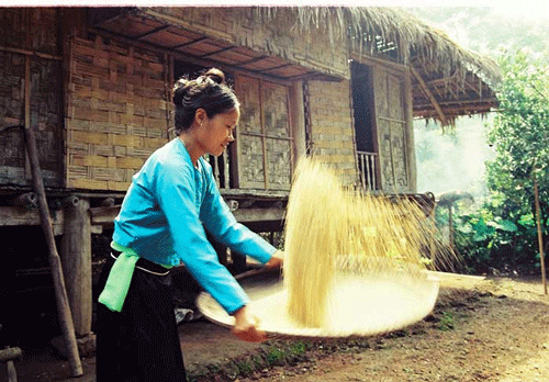 White-Thai-in-Mai-Chau