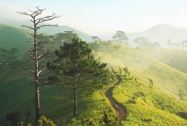 An amazing trekking route in Vietnam