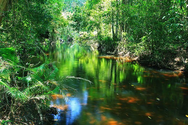 Admire the gorgeous River of 1000 Lingas