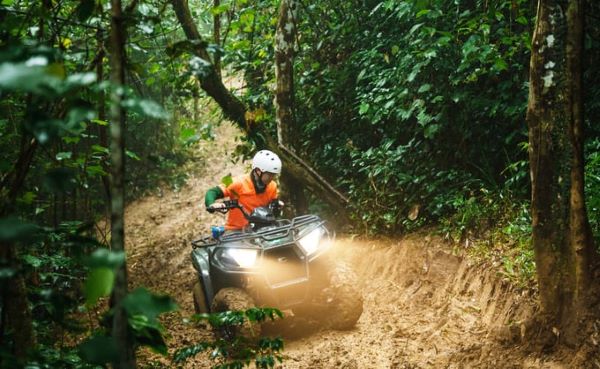 "Explore the Lim Forest - Kong's Home" tour