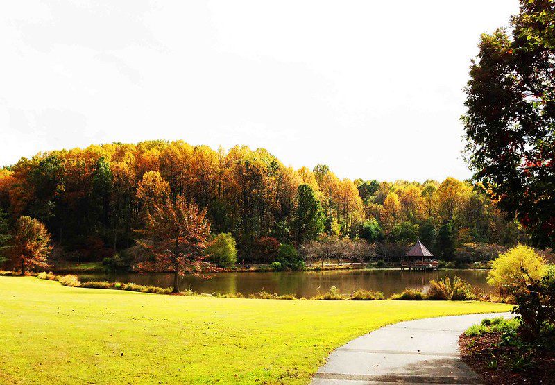 Bach Thao Park, one of the most gorgeous shooting spots in Hanoi