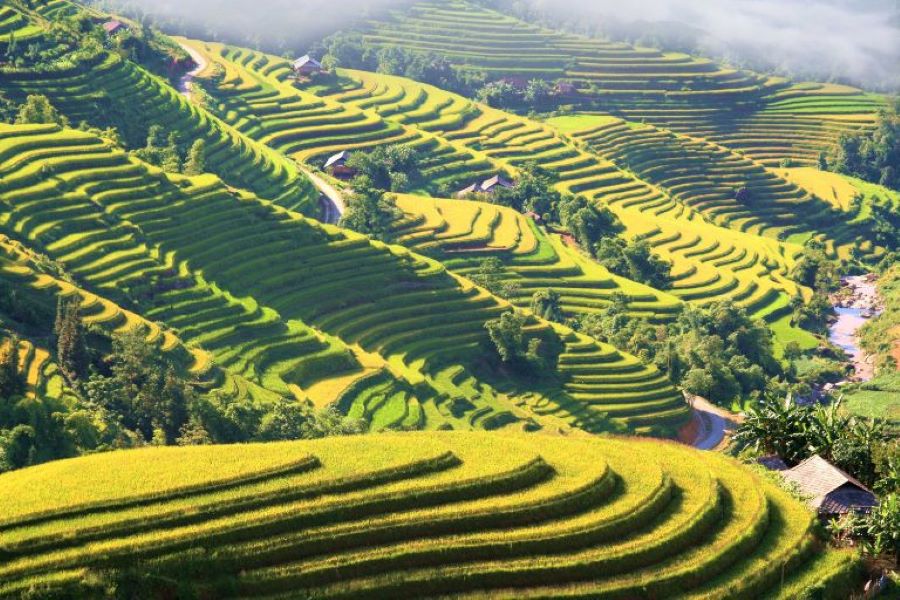 Hoang Su Phi treasures Ban Luoc, a village blooming with heritage and beauty.