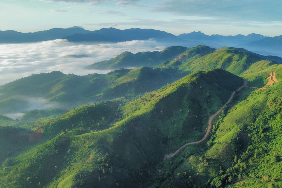 Nature in Bao Loc whispers peace through misty hills and lush green fields.