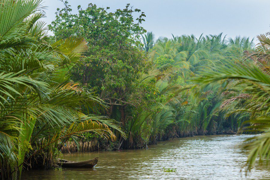 Tranquil river scene surrounded by dense palm trees and lush greenery, with a small wooden boat floating on the calm water, offering a peaceful natural retreat.