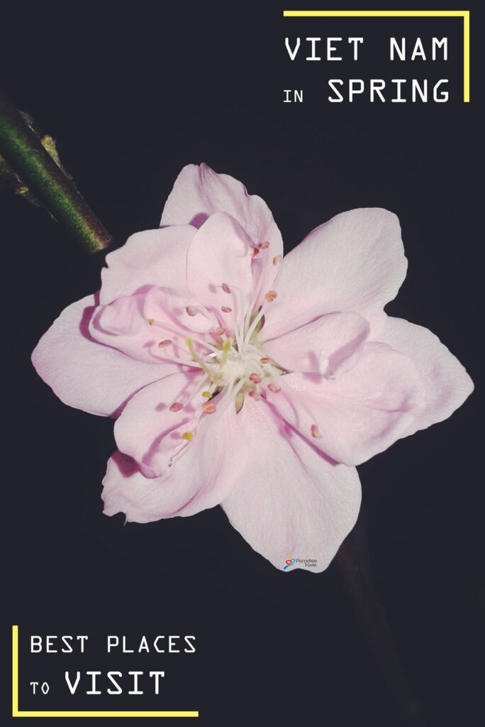 Best places to visit in Vietnam in spring