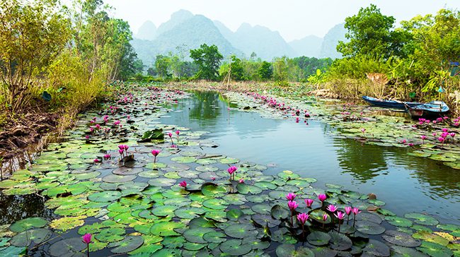 Boat cruise along Yen Stream