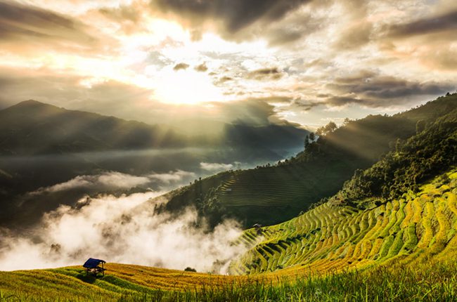Sunrise over golden rice terraces in Mu Cang Chai, Yen Bai (late September–October)