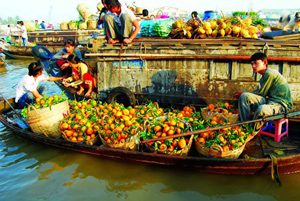 Mekong Delta Day Tour