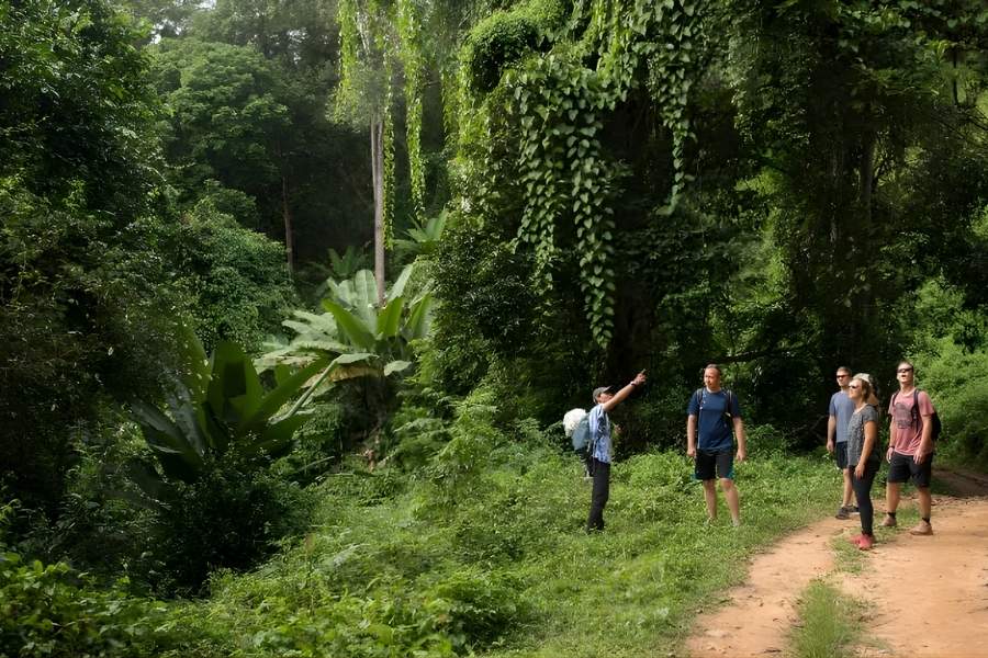 Jungle trekking in Ratanakiri Province, Cambodia