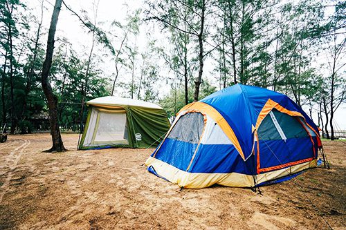 Camping in Rung duong