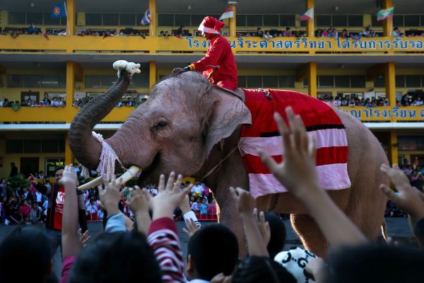 Elephant Santas deliver Christmas presents at Thai school
