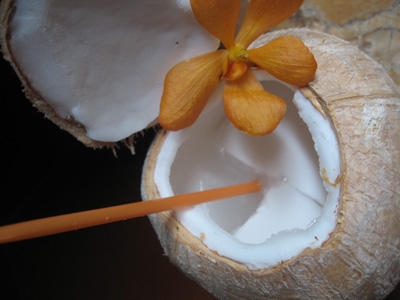 Vietnam Coconut Juice