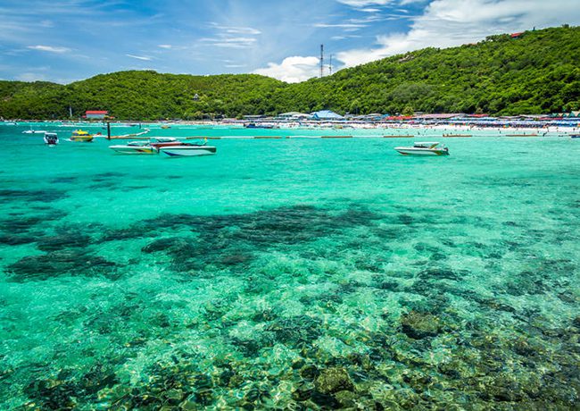Natural coral reefs at Coral Island