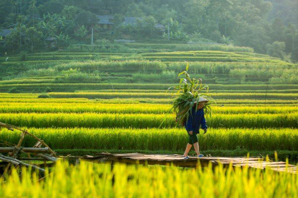 Don Village in Pu Luong, Vietnam