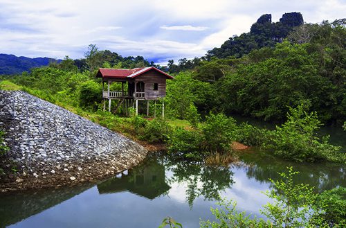 Dong Natad Forest - Savannakhet