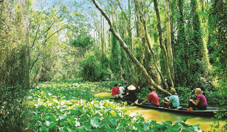 Best places to visit in South Vietnam highlight Dong Thap Muoi’s natural beauty.