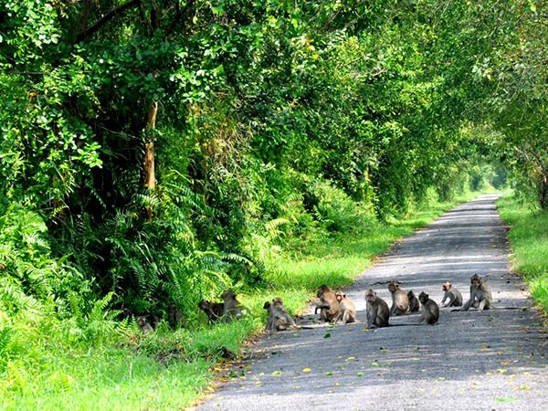 Ecosystem in Phu Quoc National Park