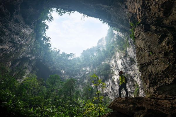 The ecosystem inside Son Doong Cave 