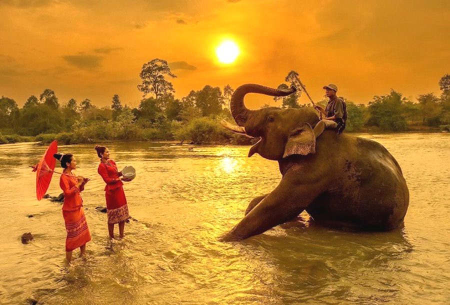 Elephant riding in Don village