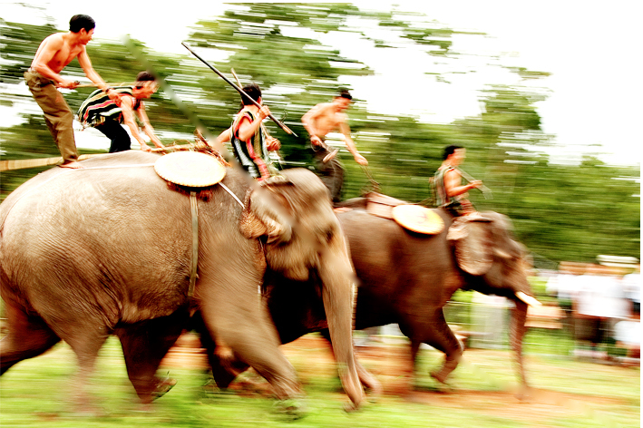 April in Vietnam excites visitors with thrilling races at the Elephant Race Festival.