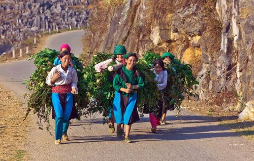 Meet ethnic minorities during Ha Giang Loop Tour