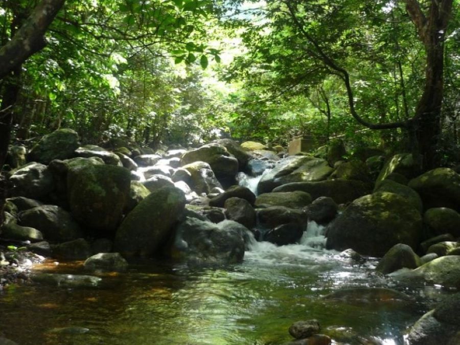 Giai Oan Stream, a tranquil jewel resting at Yen Tu Mountain’s sacred heart.
