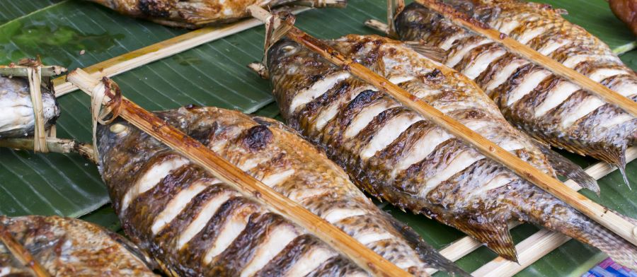 Laos food favorite: grilled river fish, straight from nature to your plate