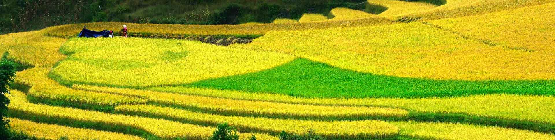 Explore The Northern Vietnam in Depth 16 Days