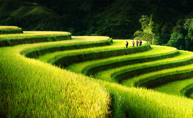 Vietnam tours from USA