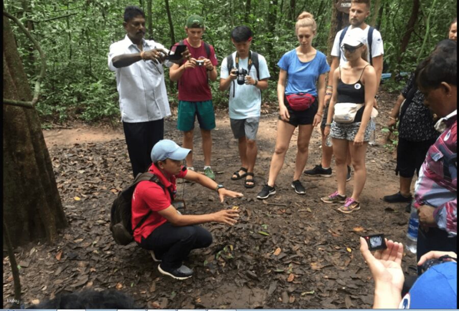 Cu Chi Tunnels Tour offers powerful history in just one unforgettable half day.