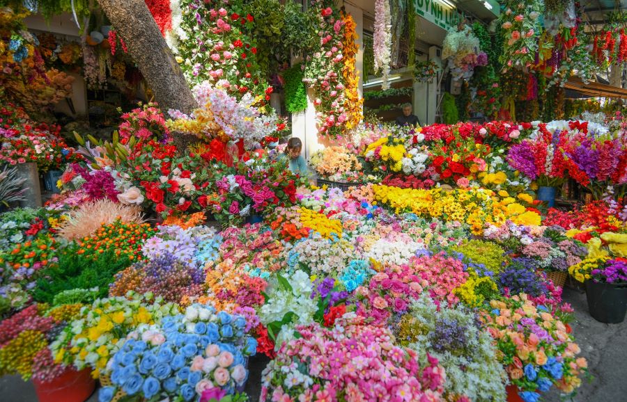 Discover Vietnam Spring Flower Festival magic at Hanoi’s bustling, colorful flower market