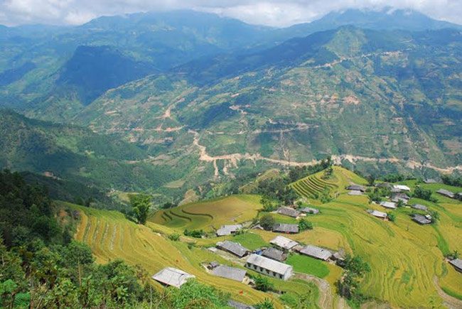 Harvest-season---Hoang-Su-Phi-2