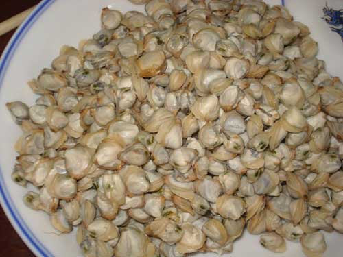 Mussel Rice in Huong River