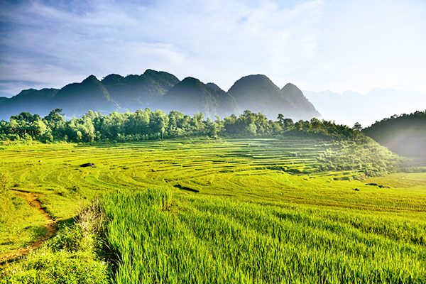 Hiking in Pu Luong to admire majestic terrace rice fields here