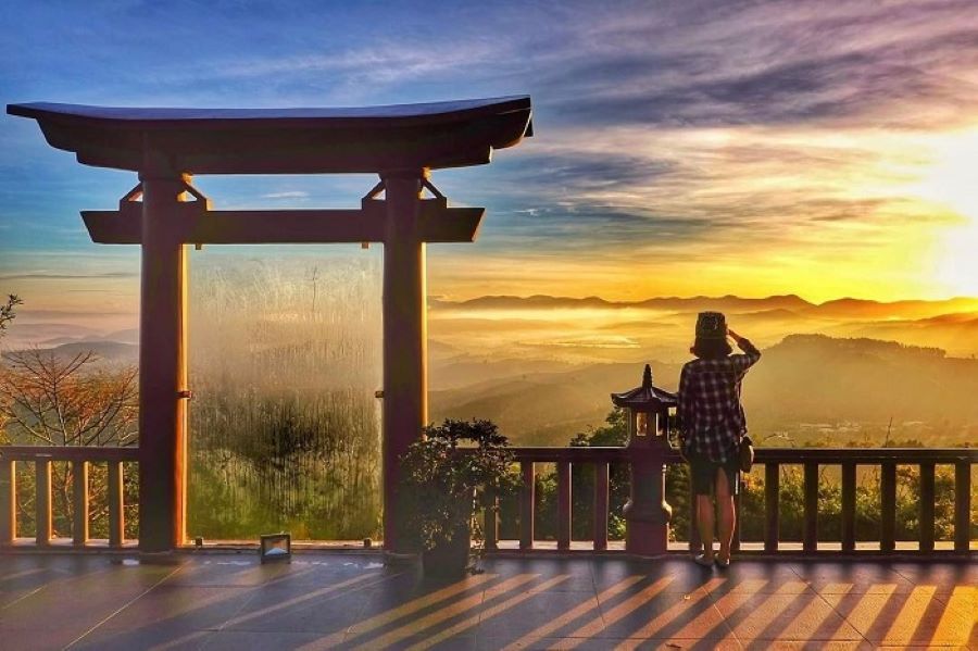 Misty sunrise reveals nature in Bao Loc at peaceful Linh Quy Phap An.