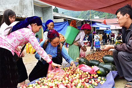 Locals purchasing fruits at Lung Phin market, Ha Giang